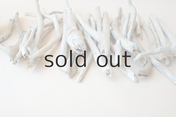 画像2: 小枝流木セット (2)