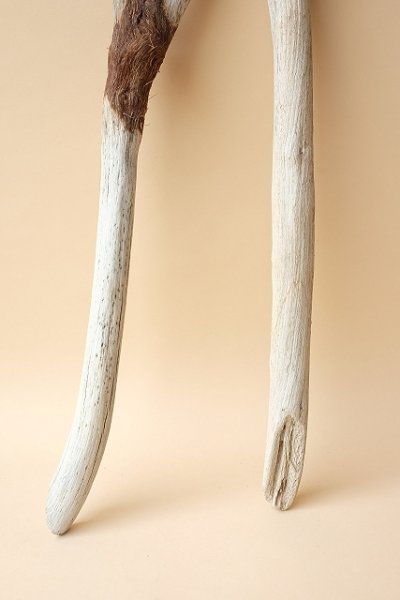 画像2: 小枝流木セット (2)