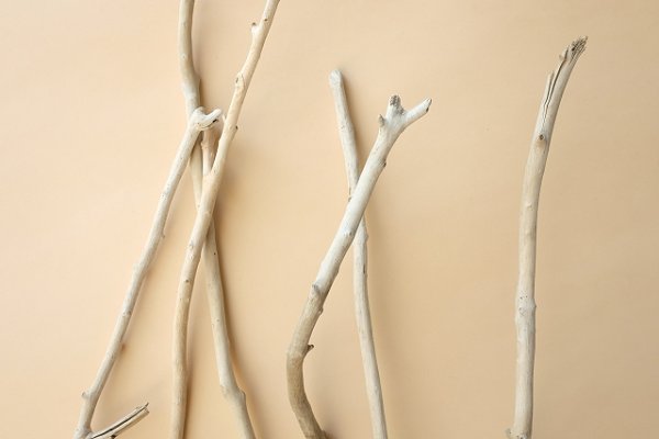 画像4: 小枝流木セット (4)