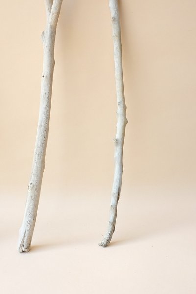 画像3: 小枝流木セット (3)