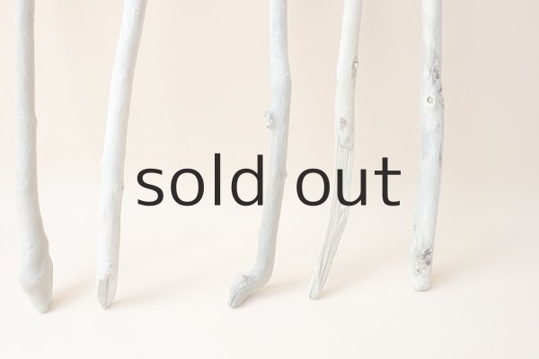 画像2: 小枝流木セット (2)