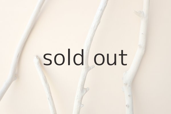 画像3: 小枝流木セット (3)