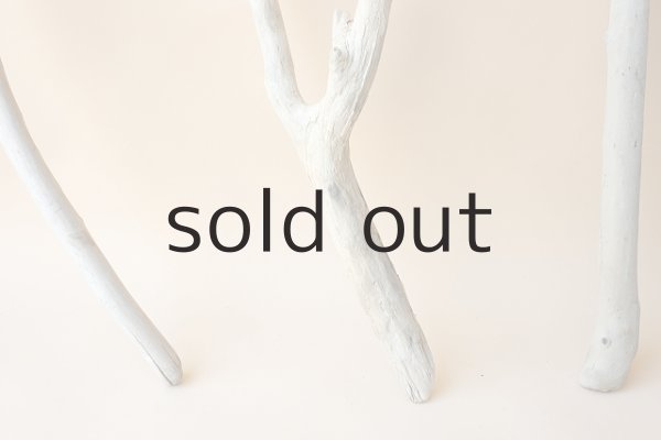 画像2: 小枝流木セット (2)