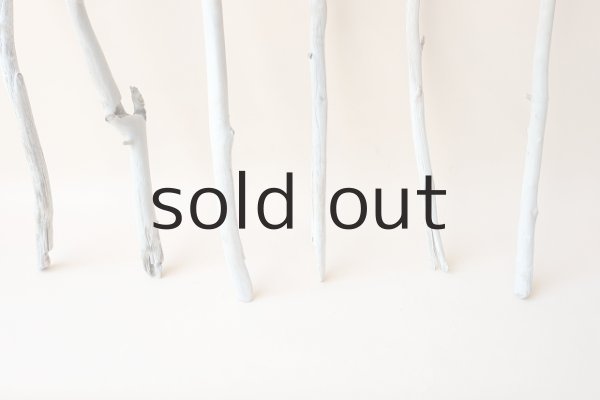 画像2: 小枝流木セット (2)