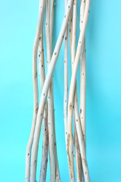 画像5: 棒流木セット (5)