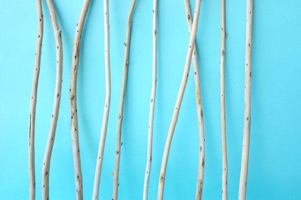 画像3: 棒流木セット (3)