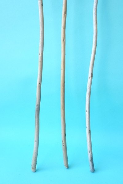 画像2: 棒流木セット (2)