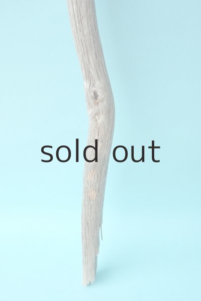 画像2: 枝流木 (2)