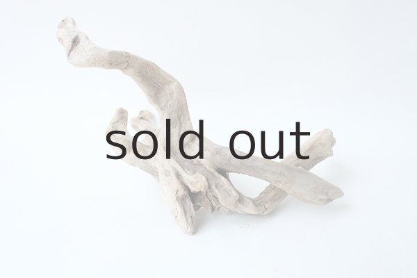 画像2: ミニ流木根 (2)