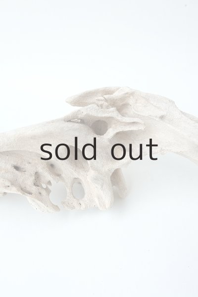 画像4: 変形流木 (4)