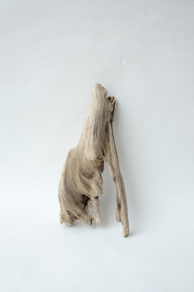 画像1: 変形流木 (1)