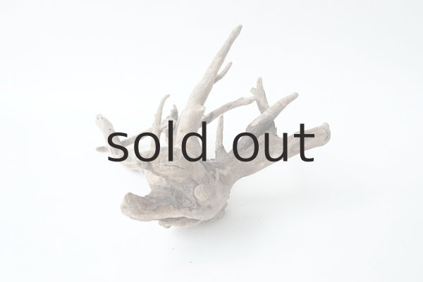 画像5: ミニ流木根 (5)