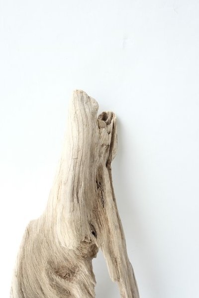 画像2: 変形流木