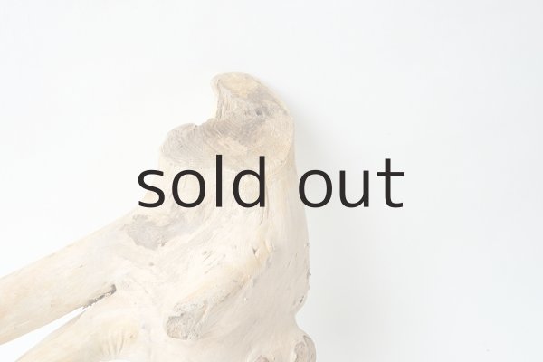 画像3: 流木根 (3)