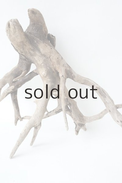 画像2: ミニ流木根 (2)