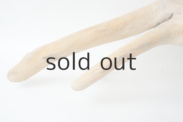 画像2: 流木根 (2)