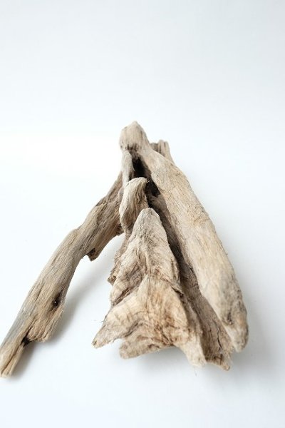 画像4: 変形流木 (4)