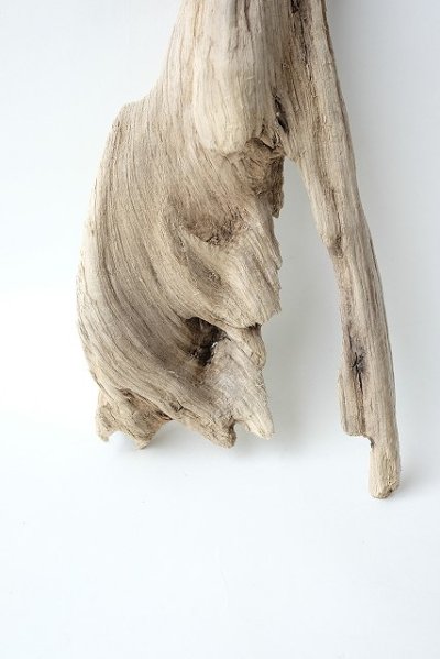 画像1: 変形流木