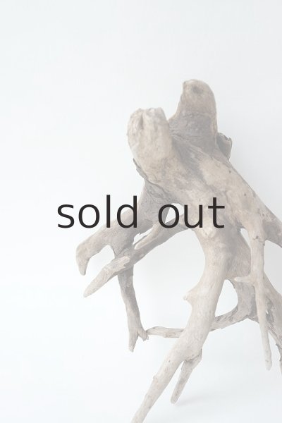 画像3: ミニ流木根 (3)