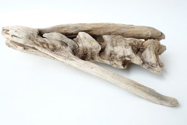 画像3: 変形流木 (3)