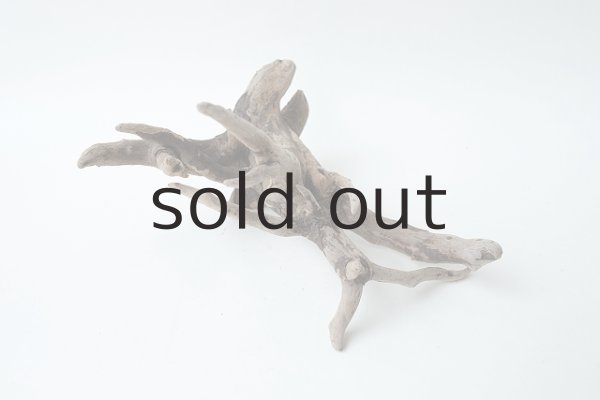 画像4: ミニ流木根 (4)