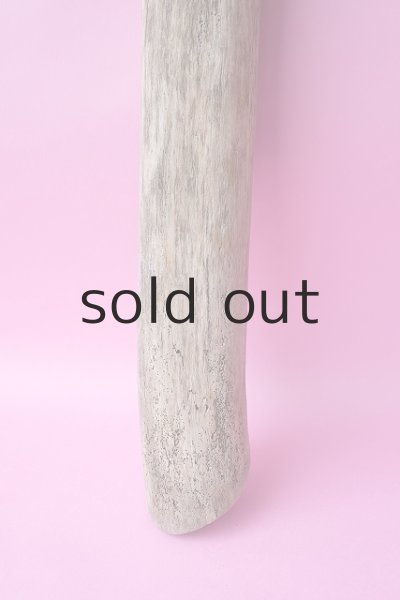 画像2: 幹流木 (2)