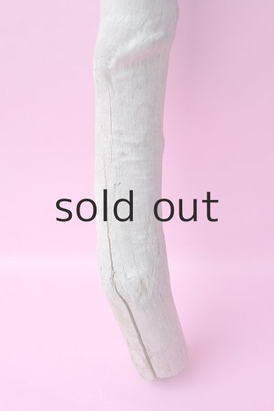 画像2: 幹流木 (2)