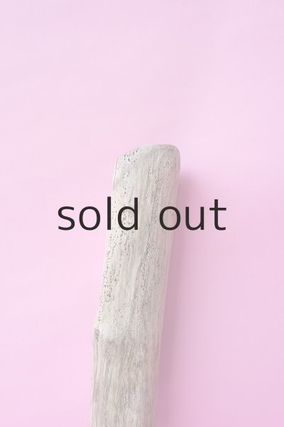 画像3: 幹流木 (3)