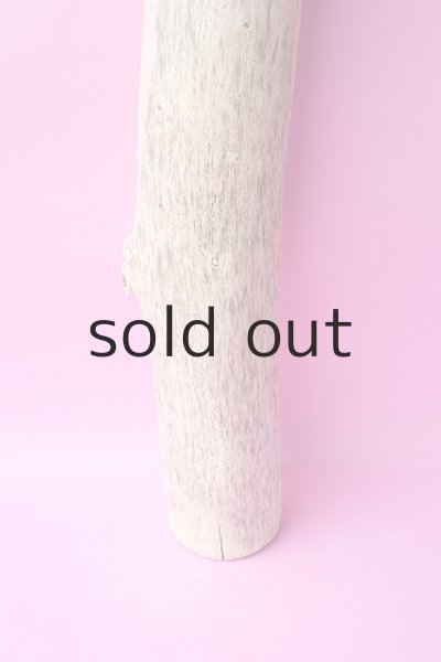 画像2: 幹流木 (2)