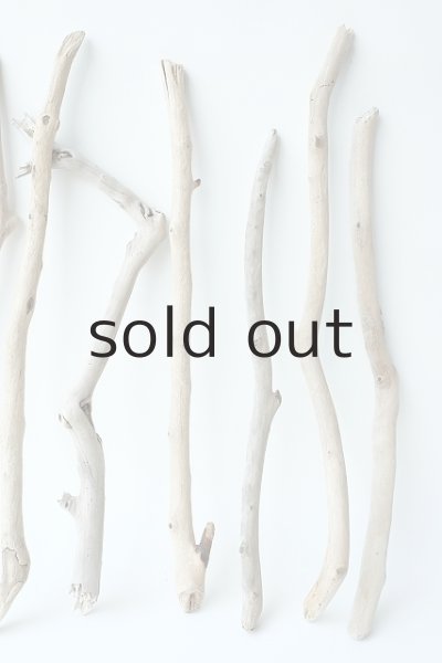 画像3: 小枝流木セット (3)