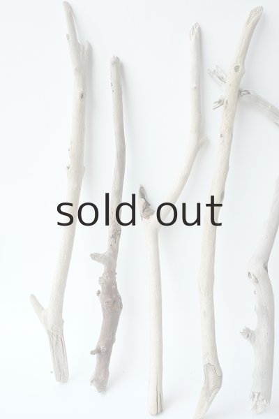 画像2: 小枝流木セット (2)