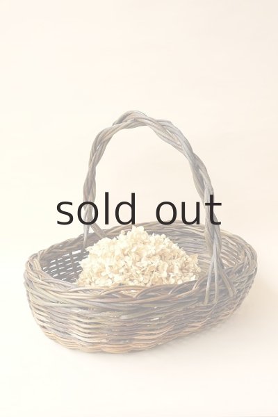 経年変化したアナベル。私物です。