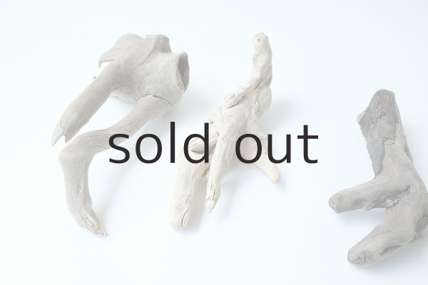 画像3: ミニ流木根セット (3)