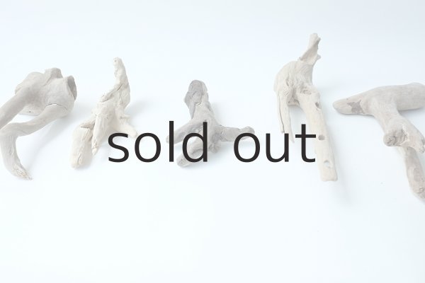 画像2: ミニ流木根セット (2)