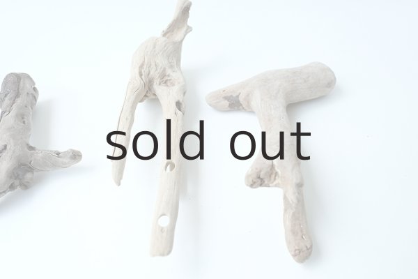 画像4: ミニ流木根セット (4)