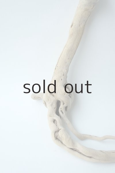 画像2: 流木根セット (2)