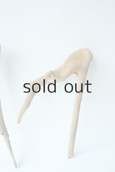 画像4: 流木根セット (4)