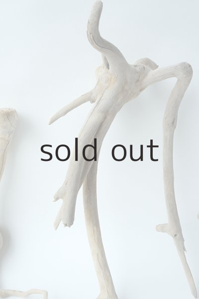 画像3: 流木根セット (3)