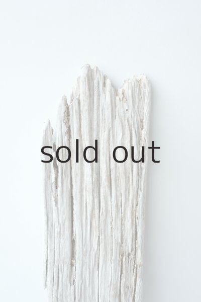 画像4: 板流木 (4)