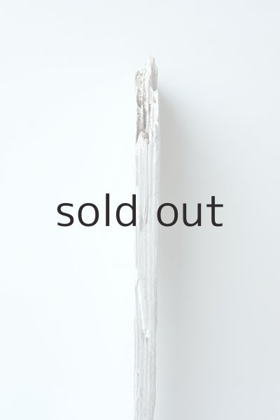 画像5: 板流木 (5)