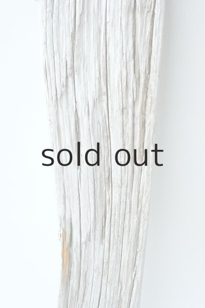 画像3: 板流木 (3)