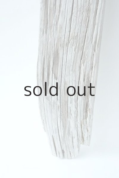 画像2: 板流木 (2)