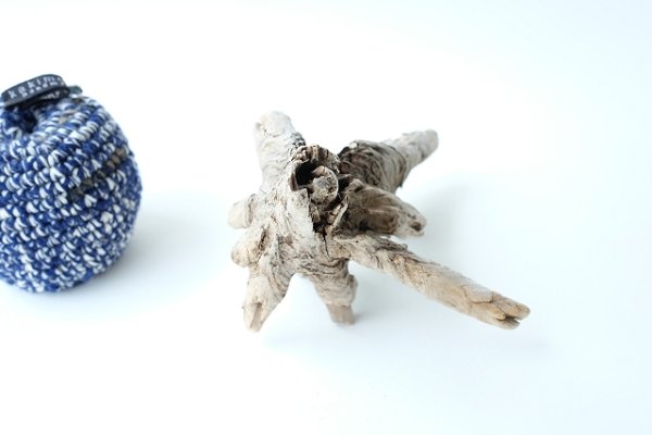 画像5: 変形流木セット (5)