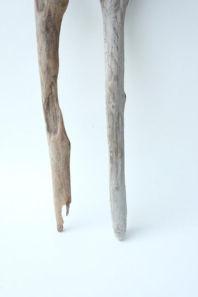 画像2: 小枝流木セット (2)