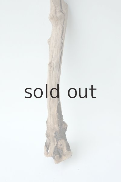 画像2: 枝流木 (2)