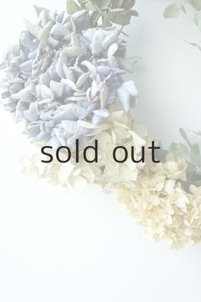 画像3: Dry plants for decor ユーカリリース(銀丸葉+ドライアジサイ3種) (3)