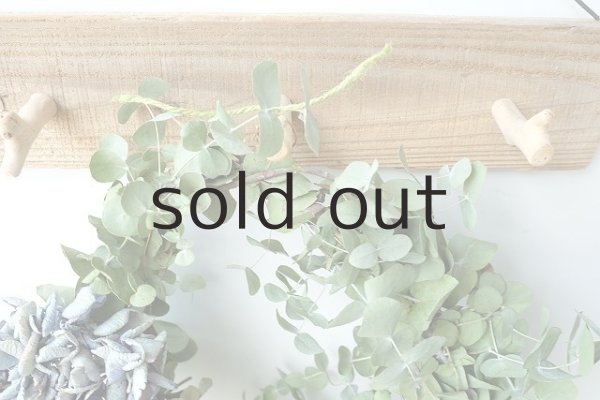 画像2: Dry plants for decor ユーカリリース(銀丸葉+ドライアジサイ3種) (2)