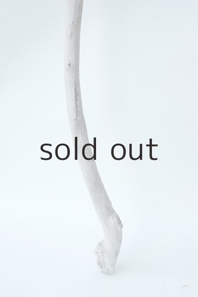 画像2: 小枝流木セット (2)