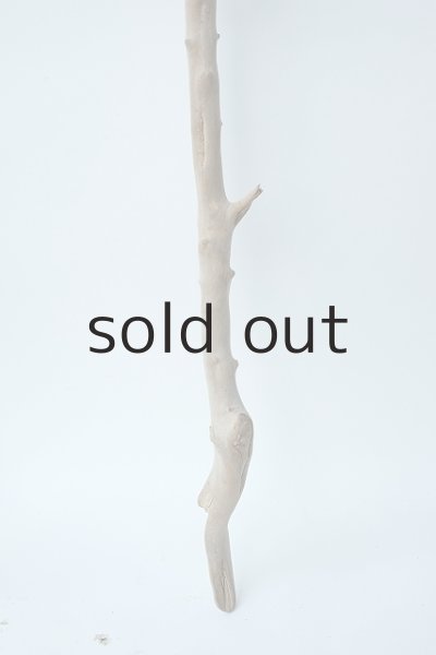 画像3: 小枝流木セット (3)