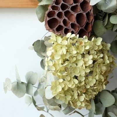 画像1: Dry plants for decor ユーカリリース（銀丸葉＋ドライアジサイ＋蓮）